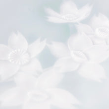 画像をギャラリービューアに読み込む, 川崎精一 Seiichi KAWASAKI /050110 陰刻皿14cm 桜 Small Plate Cherry blossoms